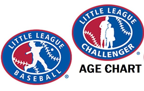 Little League Baseball® Divisions